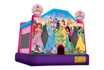 All Disney Princesses Bounce House Rental Dallas, TX