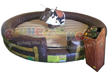 Mechanical Bull Rental Dallas | Western Theme Party / Event