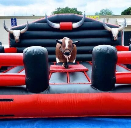 Mechanical Bull