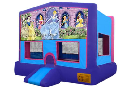 Purple Disney Princess Bounce House Rental Dallas, TX