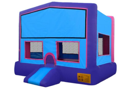 Purple Themed Bounce House Rental Dallas, TX